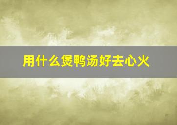 用什么煲鸭汤好去心火