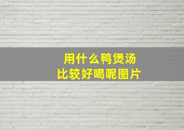 用什么鸭煲汤比较好喝呢图片