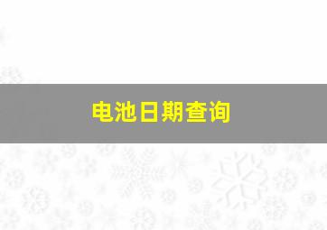 电池日期查询