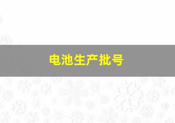 电池生产批号