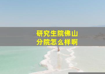 研究生院佛山分院怎么样啊