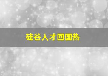 硅谷人才回国热