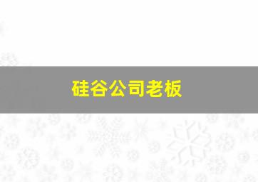 硅谷公司老板