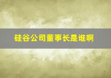 硅谷公司董事长是谁啊