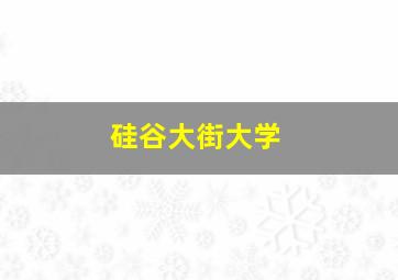 硅谷大街大学