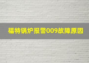 福特锅炉报警009故障原因