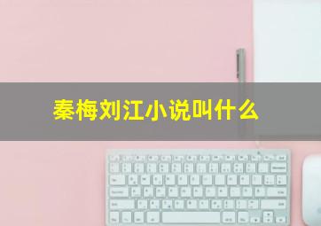 秦梅刘江小说叫什么