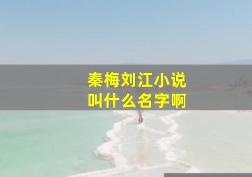 秦梅刘江小说叫什么名字啊