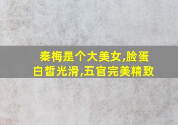 秦梅是个大美女,脸蛋白皙光滑,五官完美精致