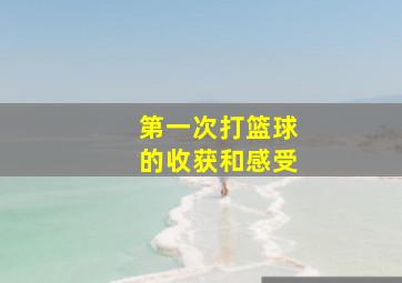 第一次打篮球的收获和感受