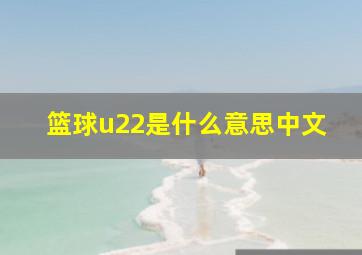 篮球u22是什么意思中文