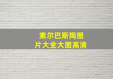 索尔巴斯陶图片大全大图高清