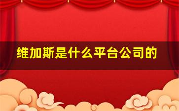 维加斯是什么平台公司的