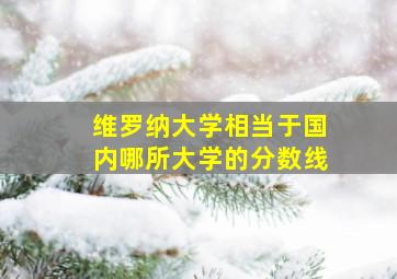 维罗纳大学相当于国内哪所大学的分数线