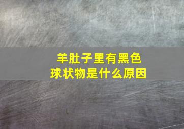 羊肚子里有黑色球状物是什么原因