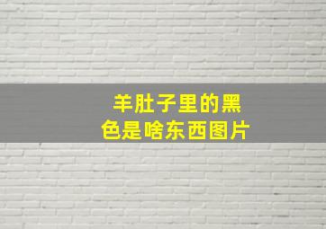 羊肚子里的黑色是啥东西图片