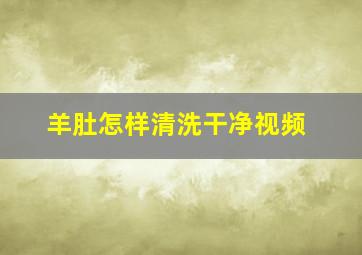 羊肚怎样清洗干净视频