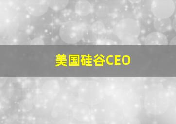 美国硅谷CEO