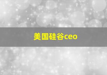 美国硅谷ceo