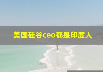 美国硅谷ceo都是印度人