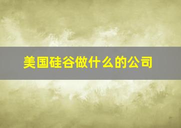 美国硅谷做什么的公司