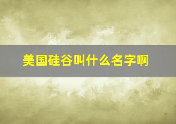 美国硅谷叫什么名字啊