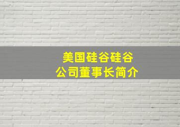 美国硅谷硅谷公司董事长简介