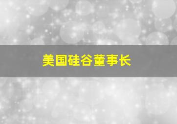 美国硅谷董事长