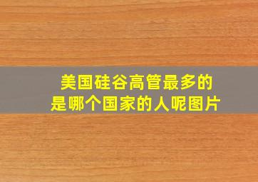 美国硅谷高管最多的是哪个国家的人呢图片