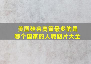 美国硅谷高管最多的是哪个国家的人呢图片大全