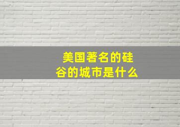 美国著名的硅谷的城市是什么