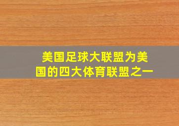 美国足球大联盟为美国的四大体育联盟之一