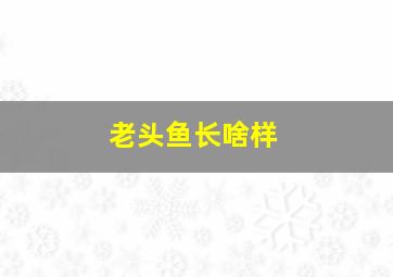 老头鱼长啥样