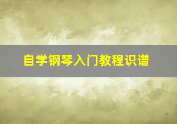 自学钢琴入门教程识谱