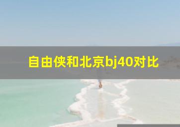 自由侠和北京bj40对比