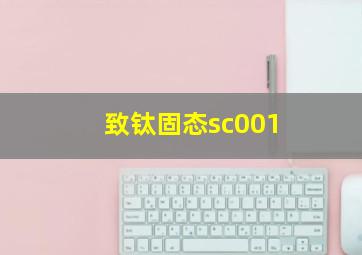 致钛固态sc001