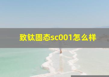 致钛固态sc001怎么样