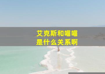 艾克斯和喵喵是什么关系啊