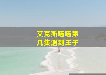 艾克斯喵喵第几集遇到王子