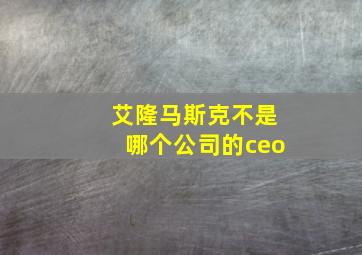 艾隆马斯克不是哪个公司的ceo