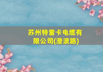 苏州特雷卡电缆有限公司(澄波路)