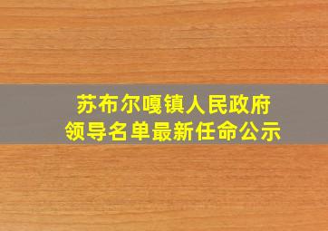 苏布尔嘎镇人民政府领导名单最新任命公示