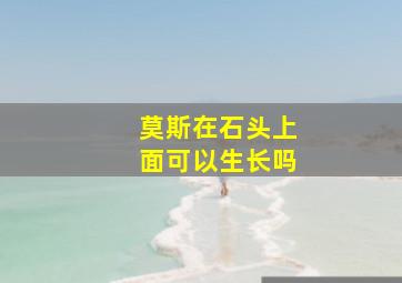 莫斯在石头上面可以生长吗