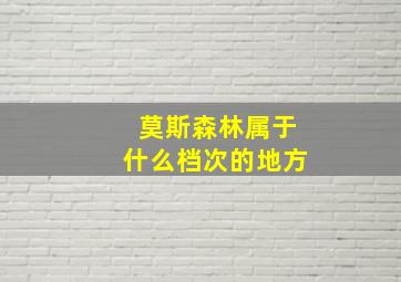 莫斯森林属于什么档次的地方