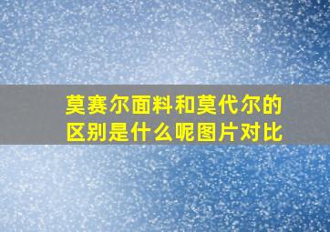 莫赛尔面料和莫代尔的区别是什么呢图片对比