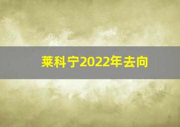 莱科宁2022年去向