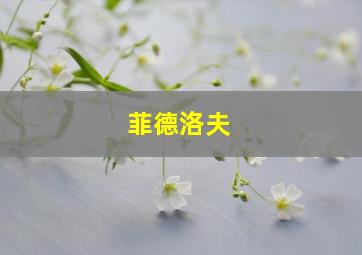 菲德洛夫