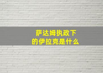 萨达姆执政下的伊拉克是什么