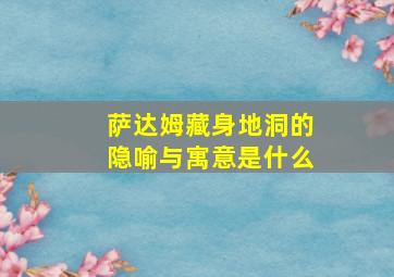 萨达姆藏身地洞的隐喻与寓意是什么