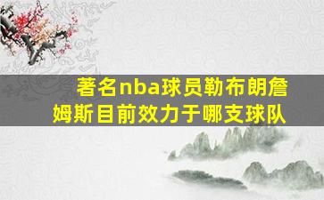 著名nba球员勒布朗詹姆斯目前效力于哪支球队